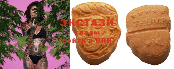 стаф Болотное
