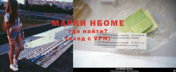 стаф Болотное