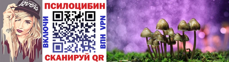 omg   Ивантеевка  Галлюциногенные грибы Magic Shrooms  цена  